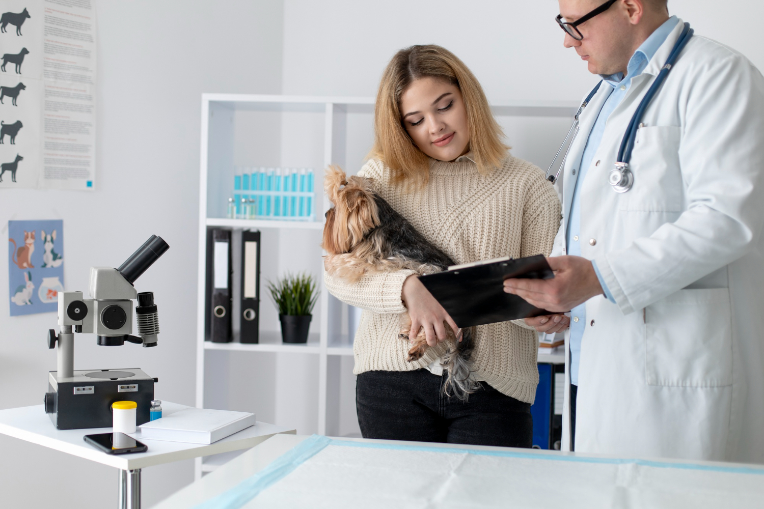 Veterinarian examining a small dog with its owner during a routine pet health consultation.