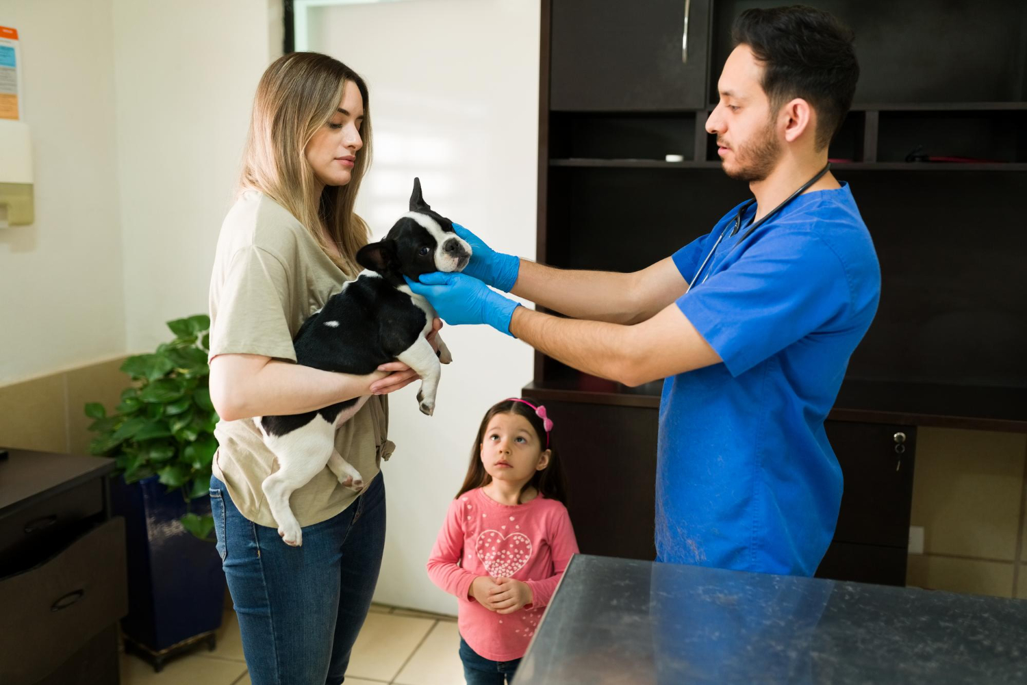 Veterinarian examining a puppy with its family during a veterinary care visit in Southeastern Massachusetts.