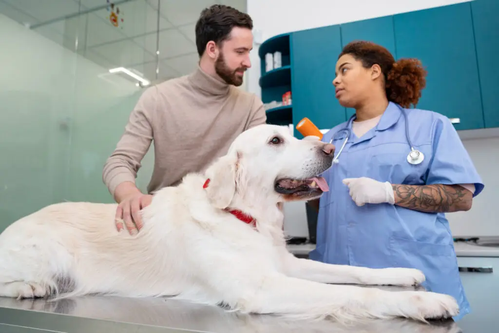 Veterinarian examining a dog with its owner in an animal hospital during a pet surgery consultation.