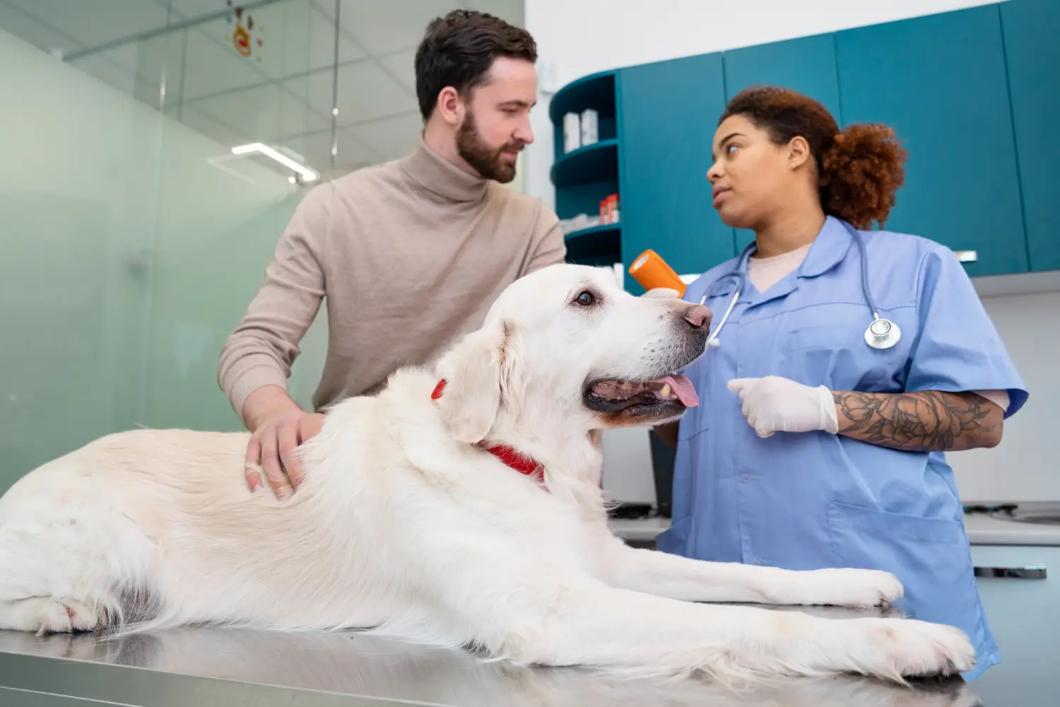 Veterinarian examining a dog with its owner in an animal hospital during a pet surgery consultation.