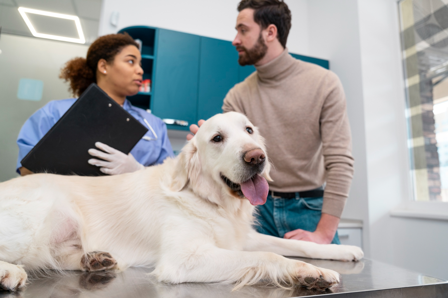 Pet owner discussing veterinary care with a veterinarian while a dog receives an examination in a clinic.