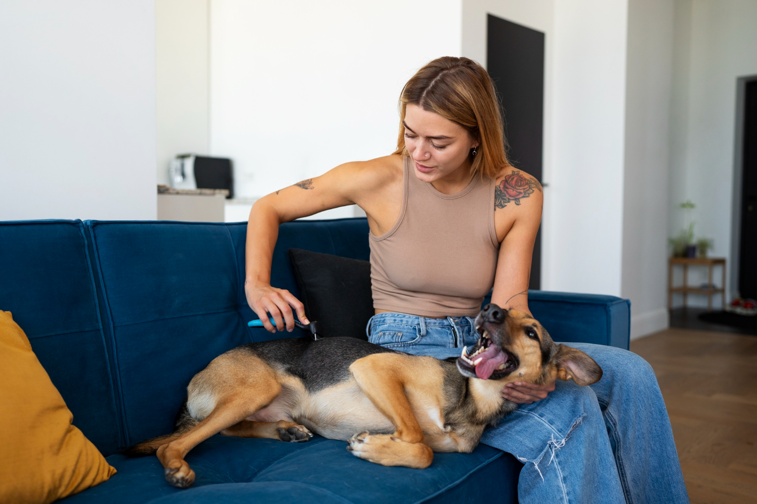 Woman grooming her dog at home, highlighting attentive pet care and monitoring for diabetes and metabolic health changes.