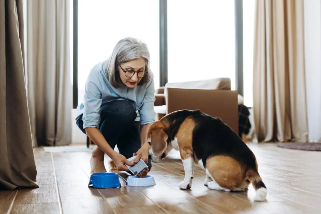 Senior dog eating a healthy meal while an owner prepares food at home for pet nutrition and care.