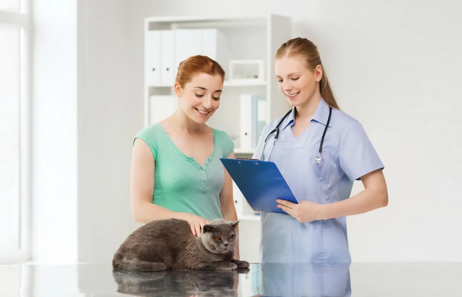 Veterinarian discussing a cat’s health with its owner during a routine pet examination at a veterinary clinic.