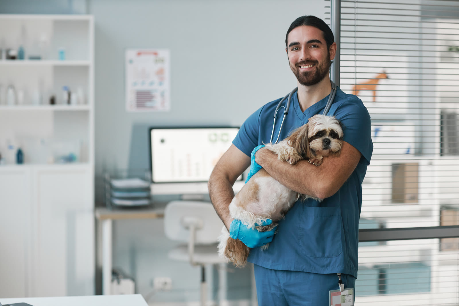 Smiling male veterinarian in blue scrubs holding a small shih tzu dog