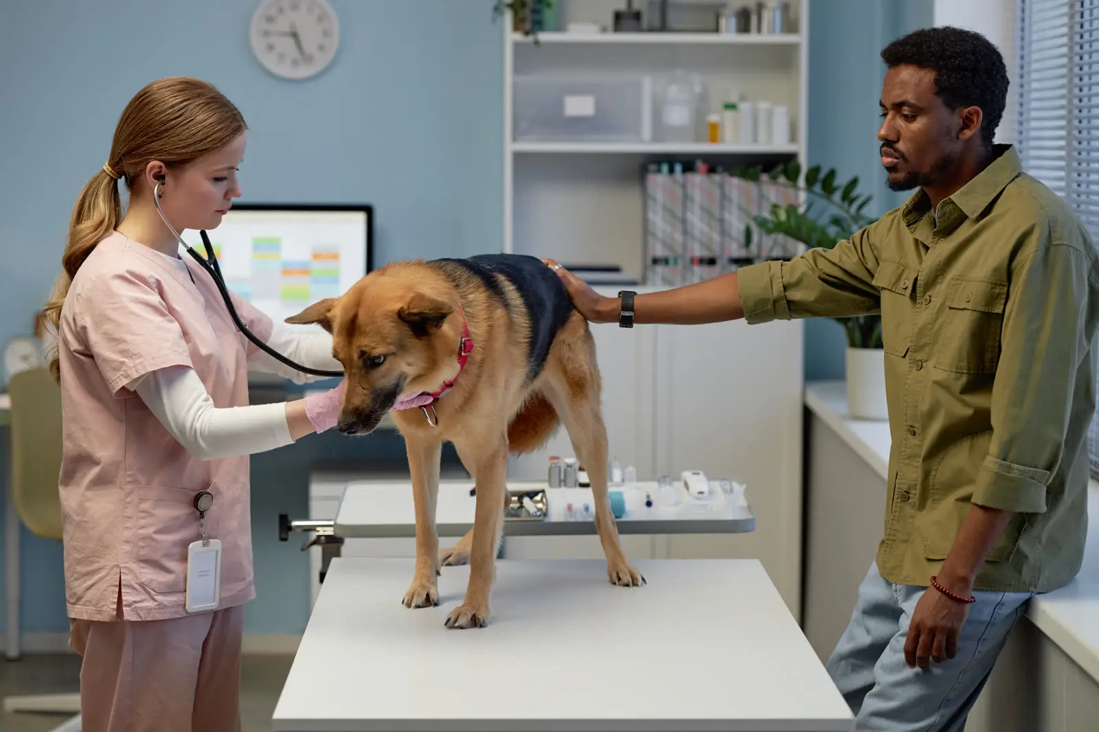 Veterinarian examines dog with stethoscope on exam table while owner comforts pet