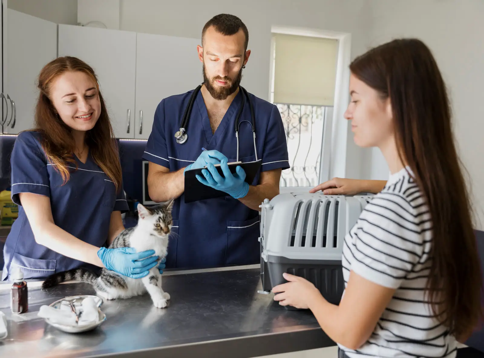 Veterinary team examining a tabby cat on exam table with pet carrier